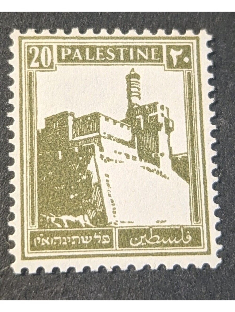 Palestine Sc 77 MNH 1927 20m olive green Citadel Plate variety in Hebrew Print